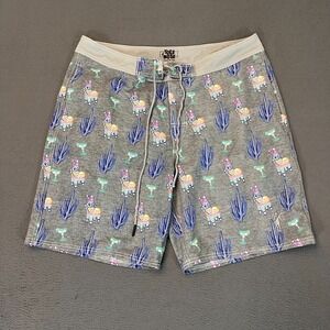 Toes on the Nose Board Shorts Mens Sz 34 Blue Trail to Sea Beach Llama Cactus
